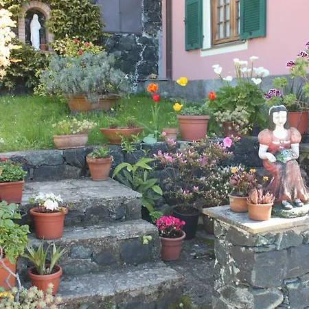 L'Ulivo Villa Levanto Room photo