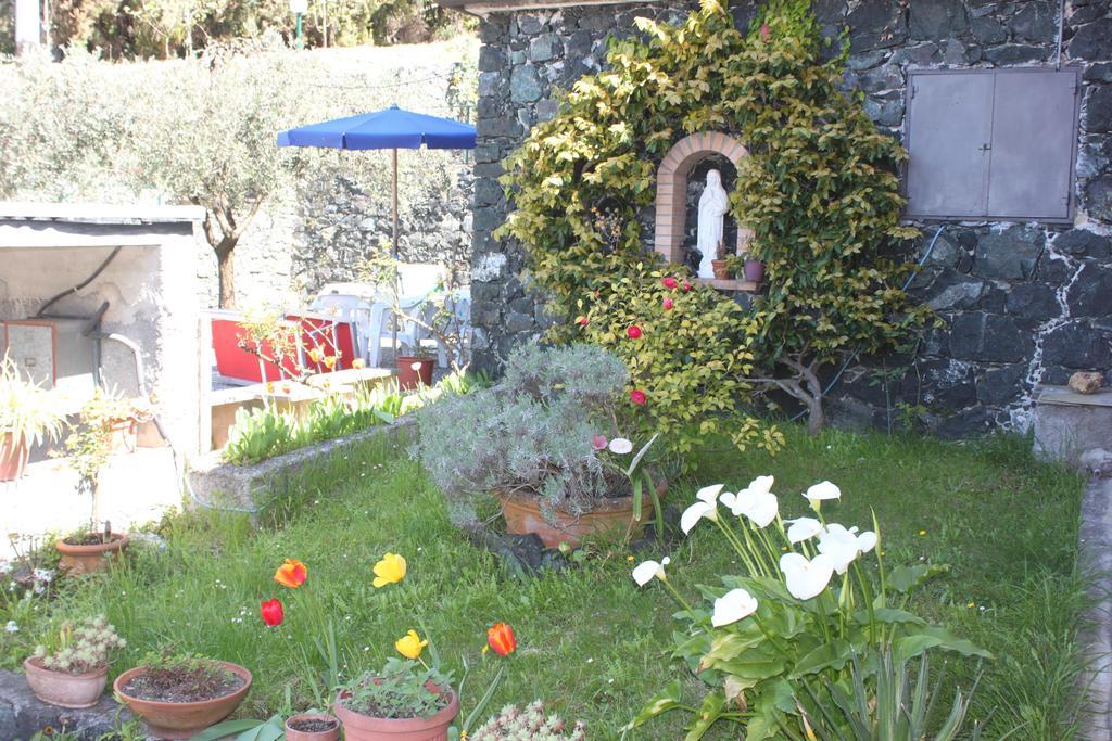 L'ulivo