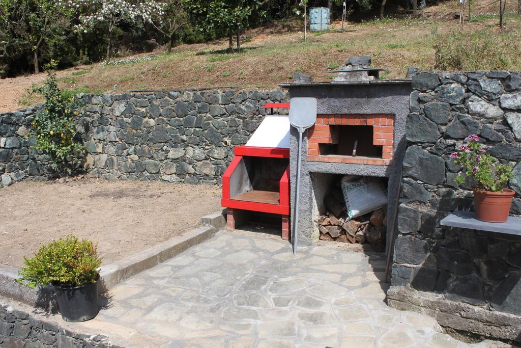 L'ulivo * Levanto